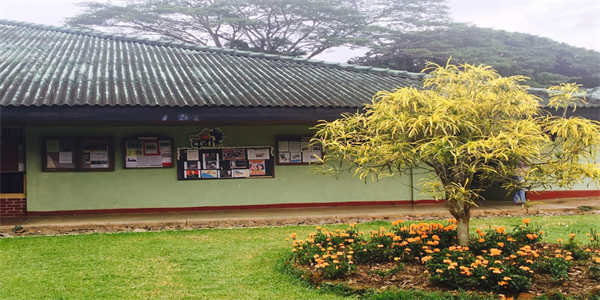 博士留服认证：是否需要前置学历的考量-1