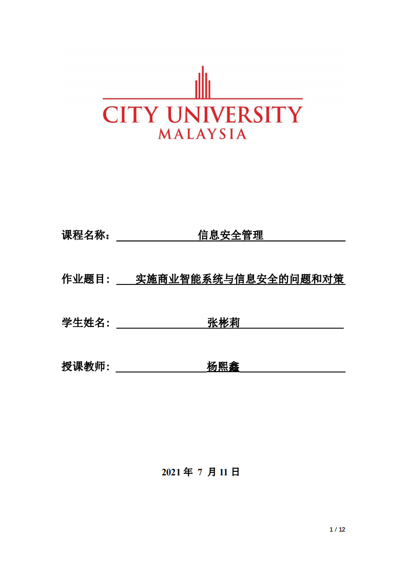 實(shí)施商業(yè)智能系統(tǒng)與信息安全的問題和對策-第1頁-縮略圖