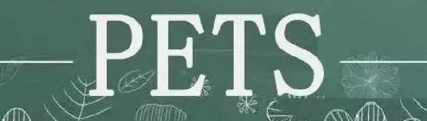 英语考级怎么报考？一篇文章带你全面了解报考流程-1