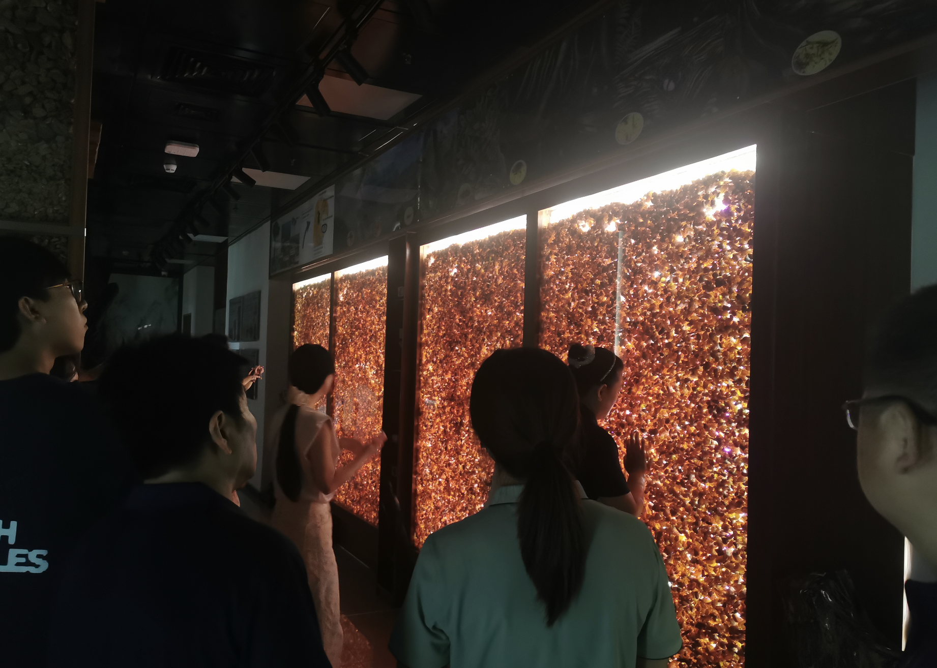 人文研学 │【南海产业博士】走进中大珠海校区展厅&南方海洋科普中心&地质博物馆-