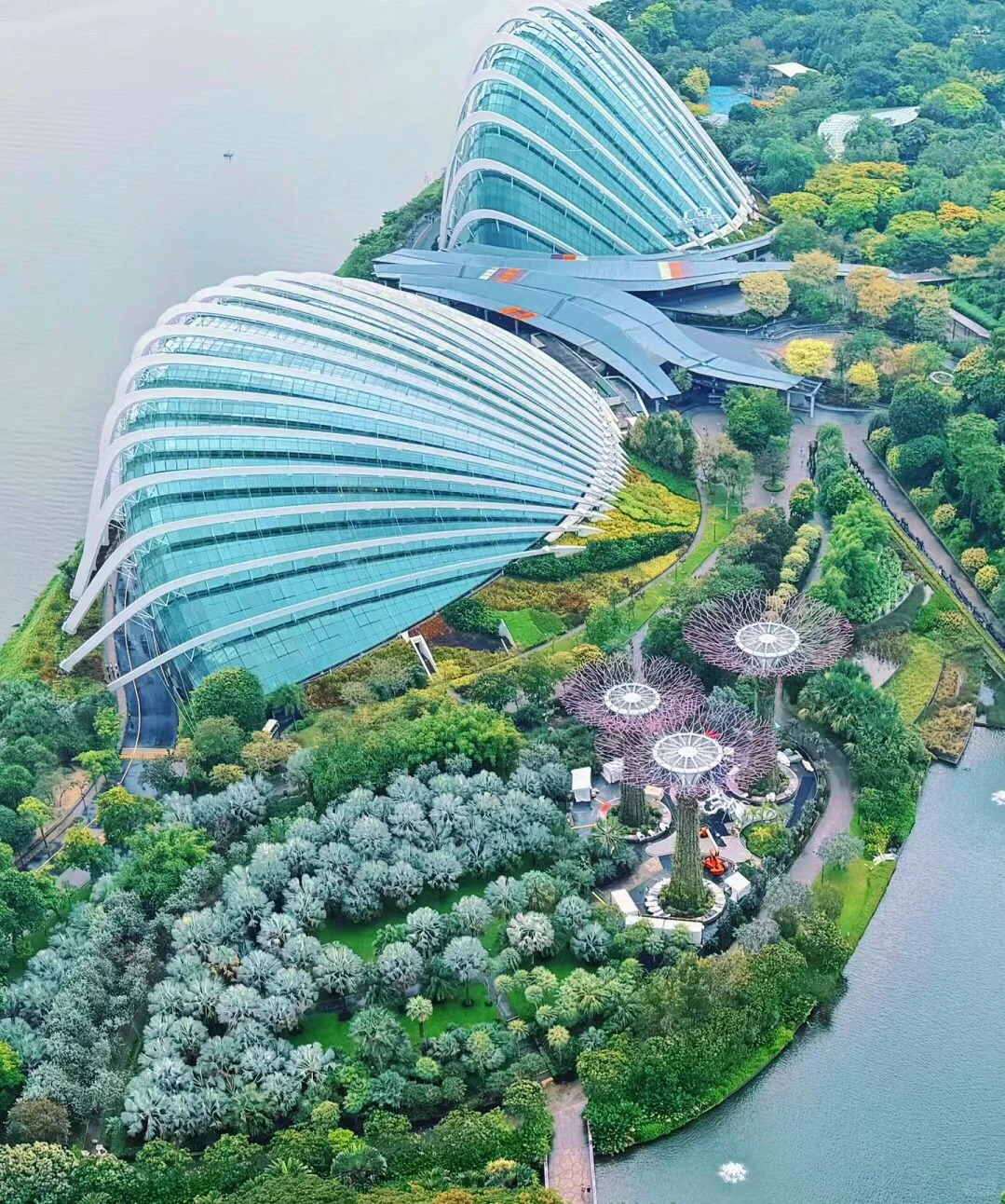 別只看“文憑”——給家長(zhǎng)和學(xué)生的深度指南:新加坡留學(xué) → 就業(yè) → 定居的真實(shí)路線圖-