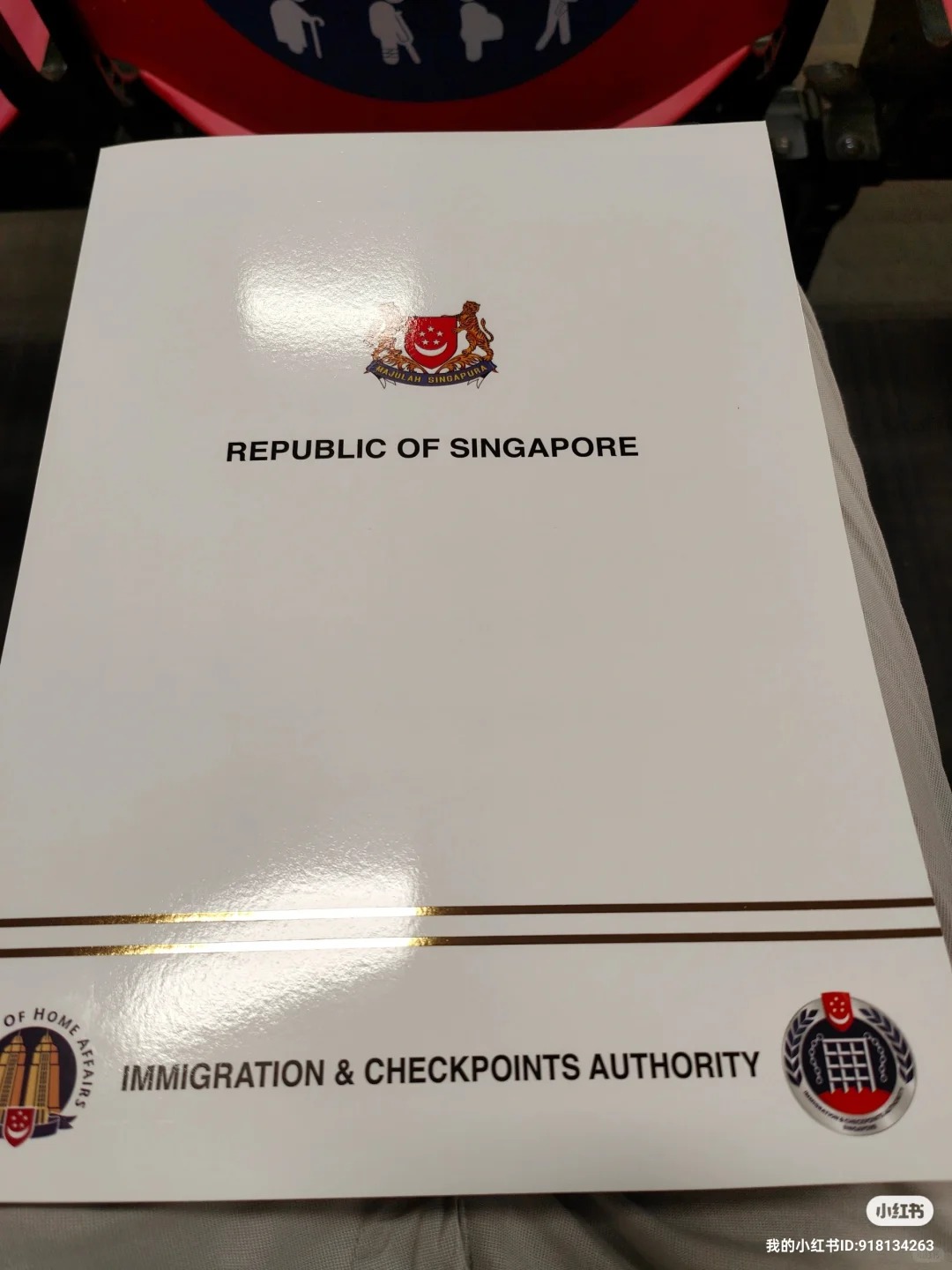 別只看“文憑”——給家長(zhǎng)和學(xué)生的深度指南:新加坡留學(xué) → 就業(yè) → 定居的真實(shí)路線圖-