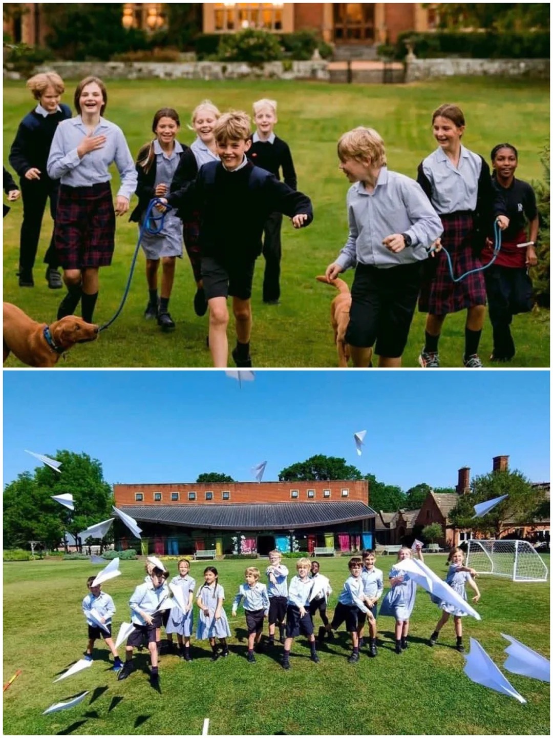 留學的隱性價值：為什么越來越多家庭選擇一條不同的成長路-