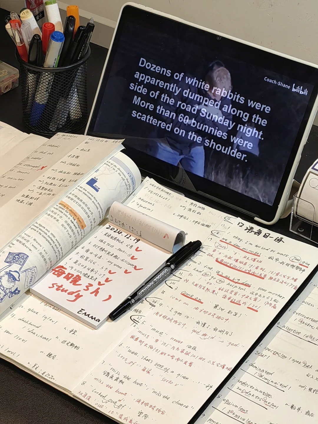 不只是「考試工具」：英語如何改變孩子的成長軌跡與未來選擇-