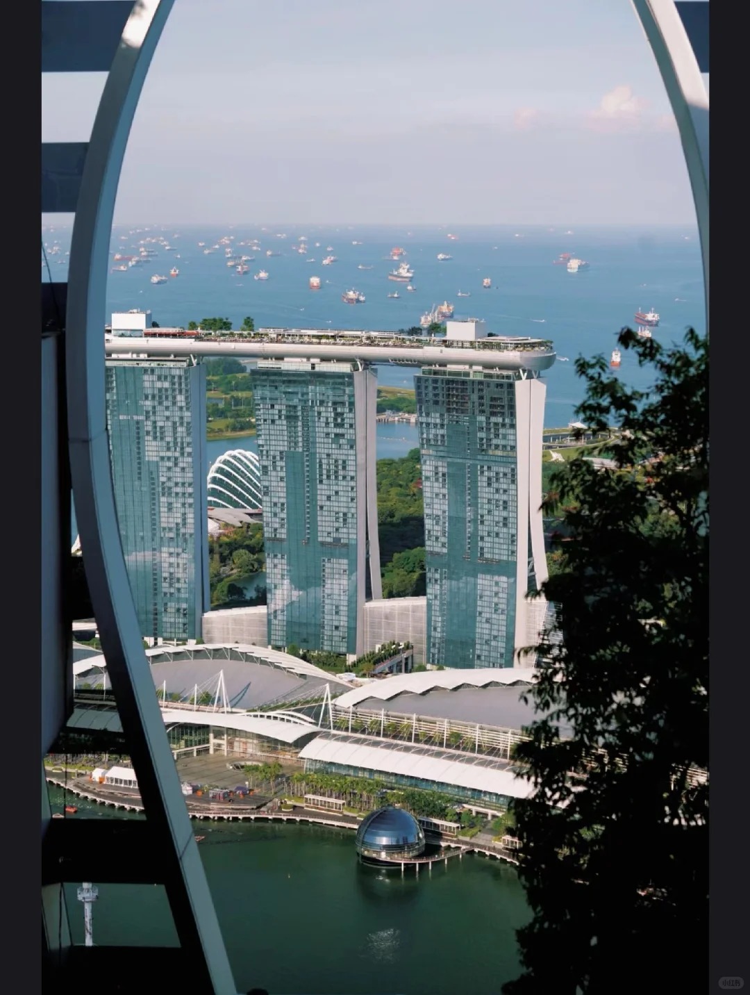 從10萬到30萬，新加坡本科這樣選更劃算-