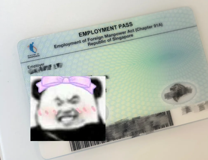 新加坡身份卡大揭秘：留學(xué)家庭必看的指南-