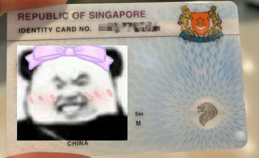 新加坡身份卡大揭秘：留學(xué)家庭必看的指南-