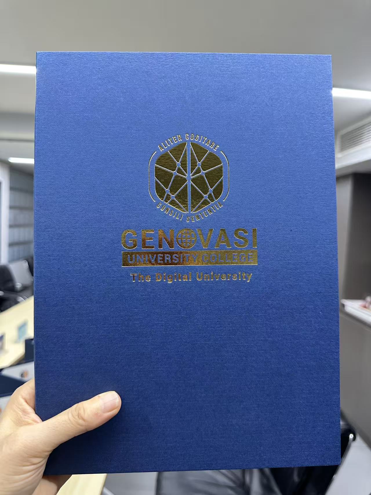 梦想启航,和立领航:高级艺术与文化管理硕士的璀璨选择-